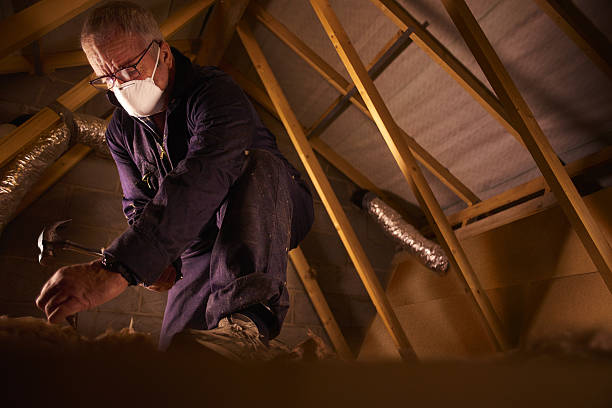 Best Insulation Maintenance and Repair in Mec, CA